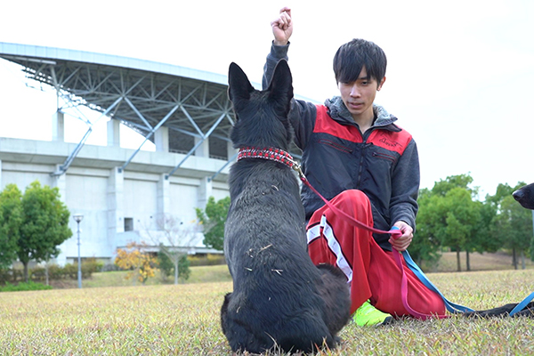 食事、トイレ、ハウス